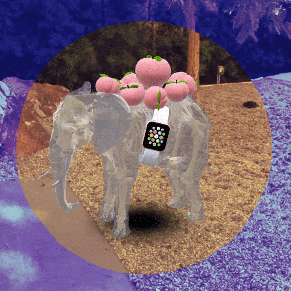 Healthy Elephant agent