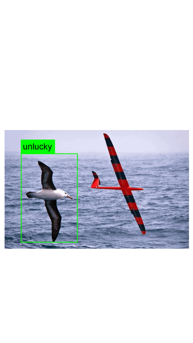 Bad luck detection demo