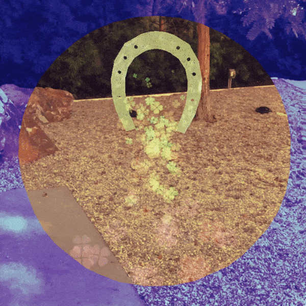 Shiney Horseshoe agent